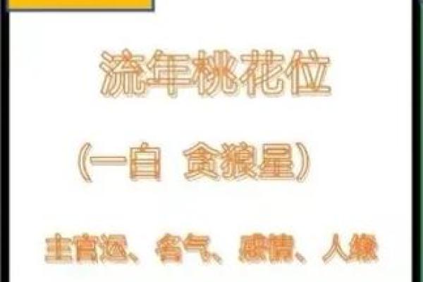 龙年八月出生的人：神秘而富有潜力的命理解析