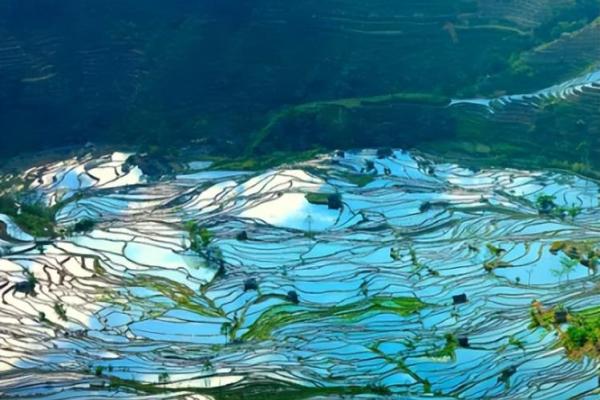 揭示罗汉命：探究其命理与人生智慧的奇妙之旅