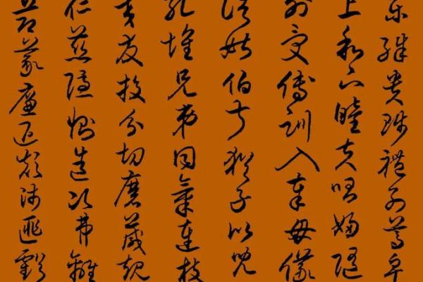 女人是小草命：在风雨中坚韧成长的生命哲学
