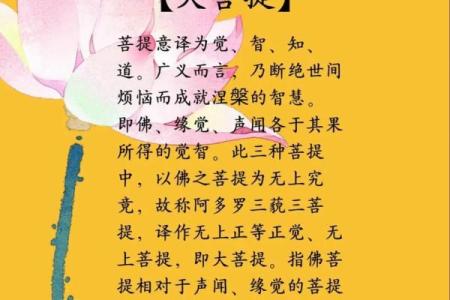 男命局火六局的秘密解析,揭示命理中的深意与智慧!