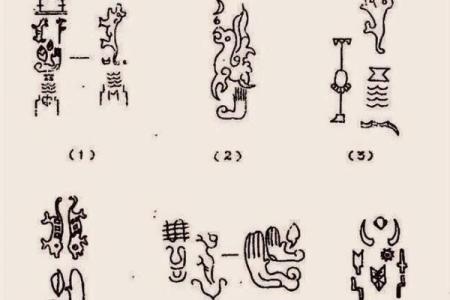男上身粗下身细的命运解析:从外表看内心,揭开生活的秘密
