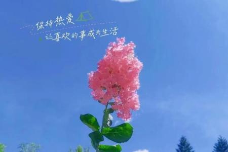 坎命人与富贵宅的完美配对:寻找理想居所的秘籍