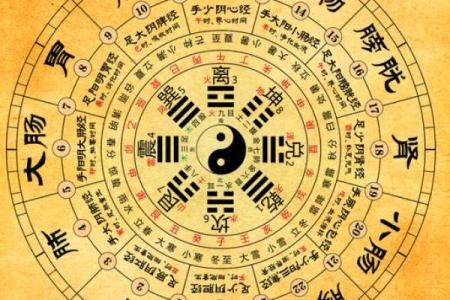 探秘命理之学：揭开白虎的神秘面纱与深刻寓意