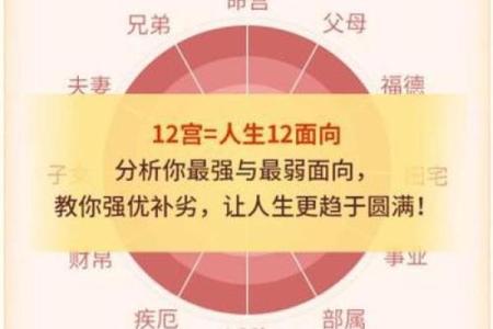 为什么脸瘦身上胖:从命理来看你的体型秘密