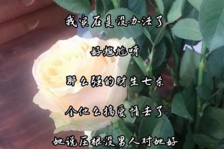 女命中有七杀之深意与人生启示