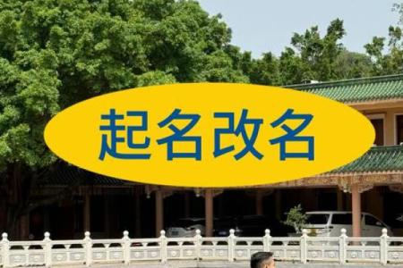 2024年宝宝命运解析：揭示未来新生儿的命理特点与个性发展