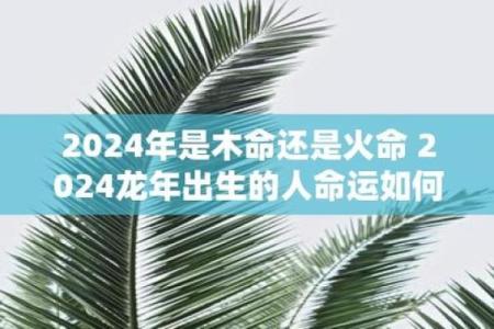 炉中火命人士如何选择适合的房号,提升居家运势