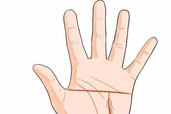 女命婚姻宫坐财库：解密情感与财富的完美平衡