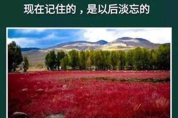 命理虚名虚利：探寻人生中的真实价值与意义