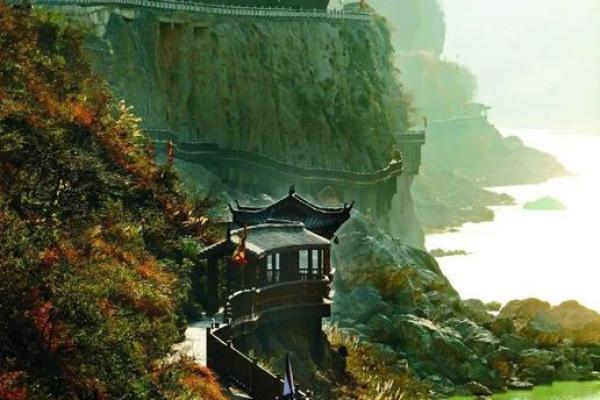 六二年属虎，铸就非凡命运的人生旅程