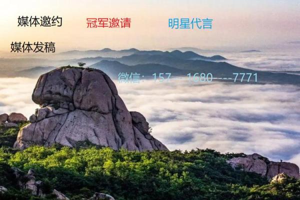 揭秘明星命格：他们的八字与成功之路