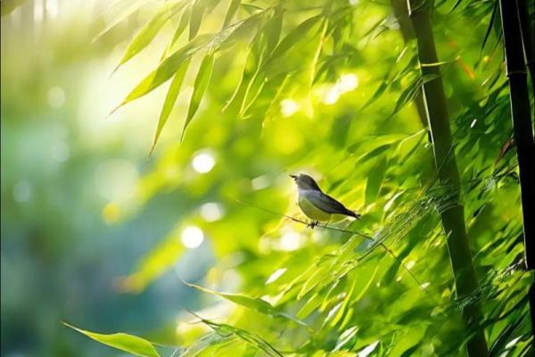 九死一生：探秘命格中的逆境与重生之道