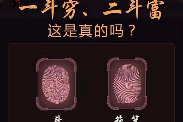 两斗八簸箕女人命运解析：深藏的智慧与启示