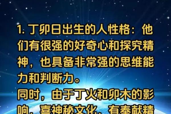 探索“履灯火命”的深刻内涵与启示