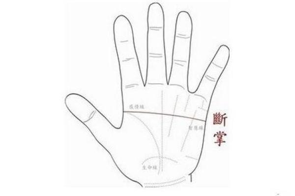 手纹解析：你的命运由刀纹揭示，了解其背后的秘密与启示