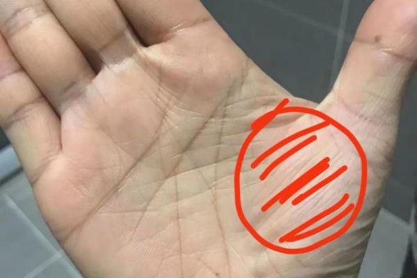 手纹解析：你的命运由刀纹揭示，了解其背后的秘密与启示
