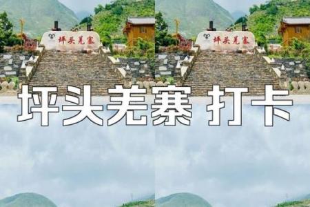 探秘蝴蝶命女人：手相里的神秘指示与人生轨迹