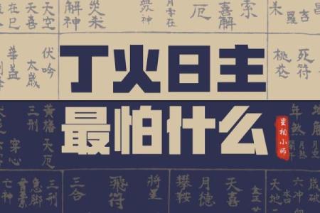 探索命运的奥秘:率命的深刻含义与启示