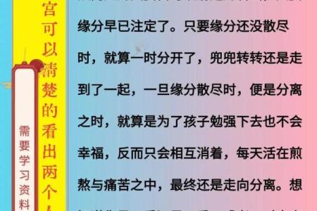 命理探秘:解读古老智慧的书籍之旅