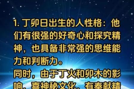 探索“履灯火命”的深刻内涵与启示