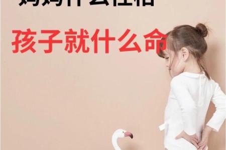 命里大海水：解读水命的性格与命运之旅