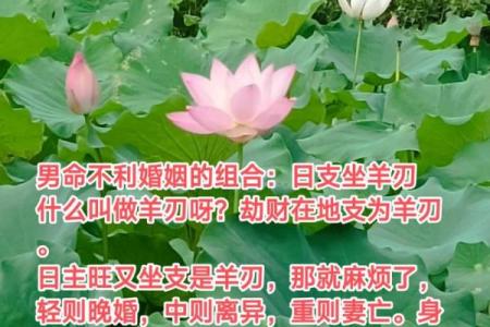 羊刃解析：命理学中的神秘象征与人生启示
