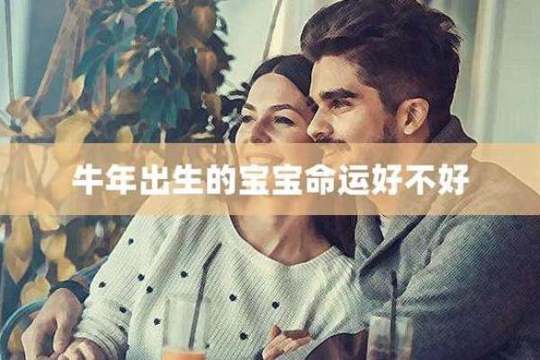 腊月出生的牛年命运揭秘：踏实与奋进的完美结合
