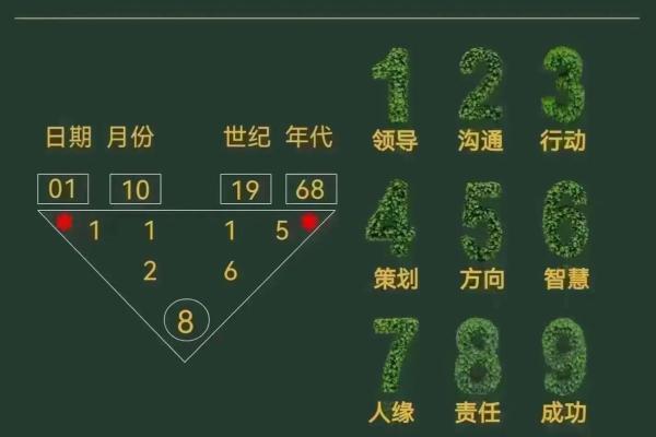 探索农历十一月出生者的命理奥秘与人生轨迹