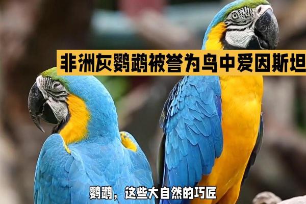 探索男火星照命的奥秘：解读个性与命运的影响