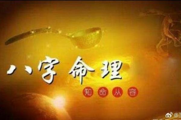 探索2004年11月出生者的命运与性格特点
