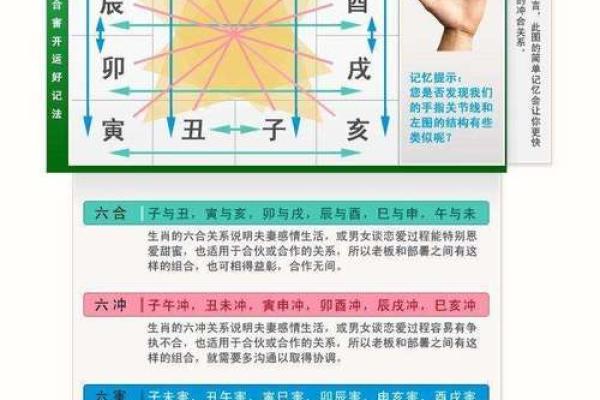 牛进食时辰出生的命运解析：你的命理密码是什么？