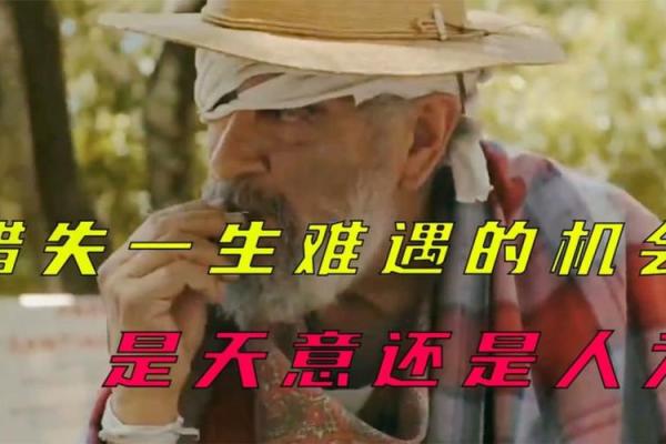 当命运与梦想擦肩而过：那些没有中奖命的人生哲学