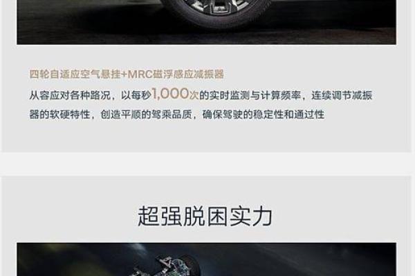 女金命与不同命局的最佳匹配之道