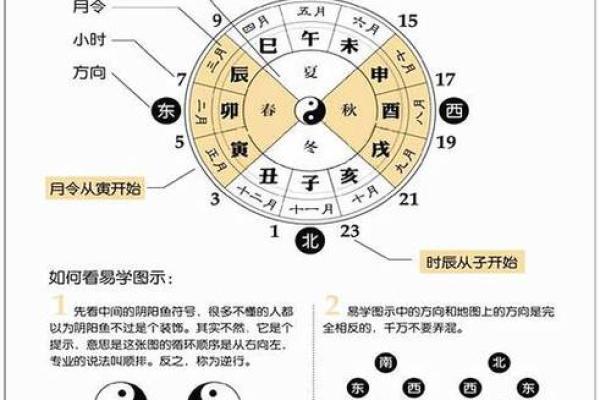 五行八字揭秘：1995年5月14日出生的人命运解析