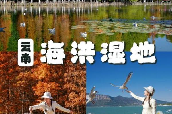 流连忘返：探寻生活中的美好与意义