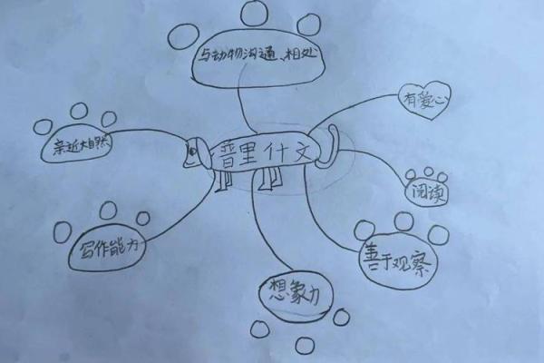 陪孩子读书：拼出美好未来的秘密武器