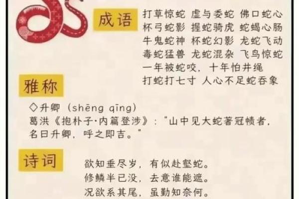 每月出生人的命运解析：你属于哪个命？