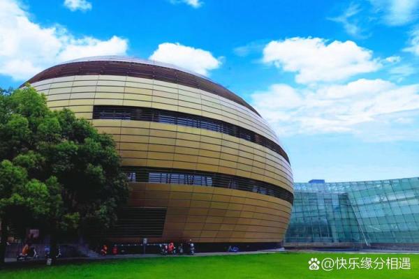 命若琴弦，鹞鹰飞舞：探索生命的多重意义与价值