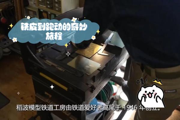 九月属鼠女人的命格解析：聪慧与韧性并存的奇妙旅程