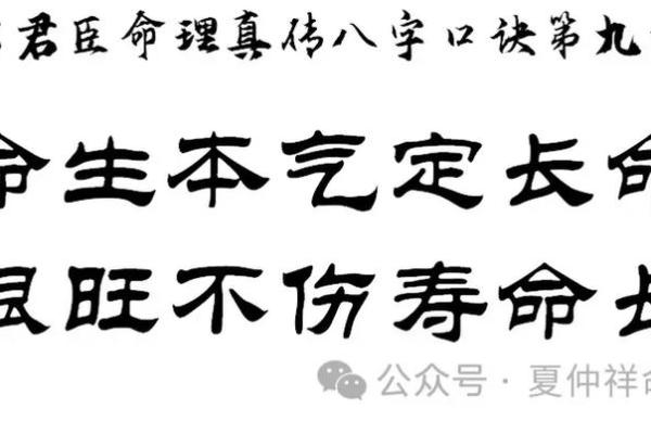 葵水命与其他命局的完美结合：找到你的命理伴侣之道