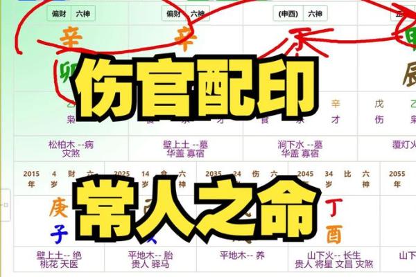 命理学中的偏印和伤官：它们对命运的深刻影响与解析