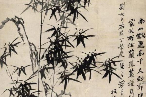 农历二十五出生的人命运解析：与竹子相生的一生