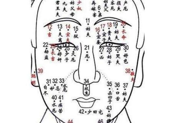 脸上痣的奥秘：揭示你的命运与性格特征