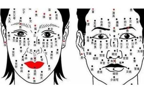 脸上痣的奥秘：揭示你的命运与性格特征