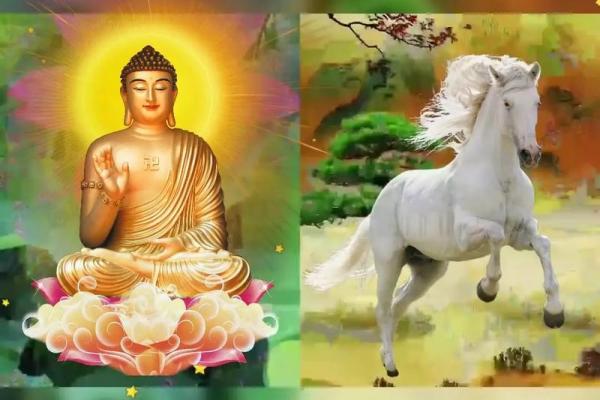 属猴与属马的人生命格解析：智慧与力量的完美结合