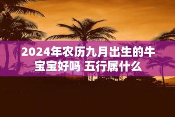 命运之路：农历六月初七出生女生的性格与人生轨迹