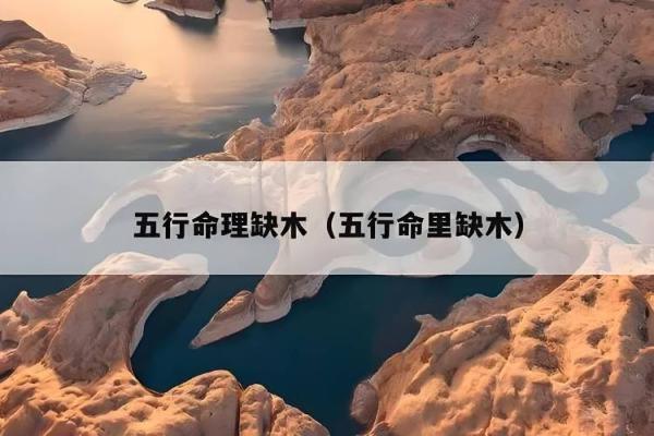 平地命木命解析：探索个性与命运的交织之美