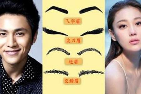 眉毛稀疏与命运的秘密：揭示命理学中的深层含义