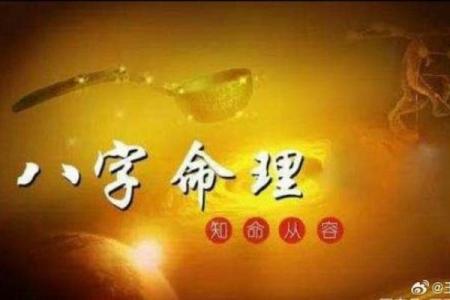 探索2004年11月出生者的命运与性格特点