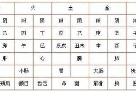命理大师的命运解析:到底他们的命是什么?